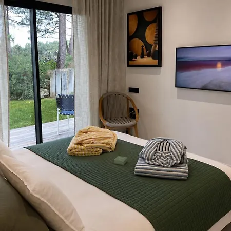 Villa Palmgreen Avec Piscine, Face à La